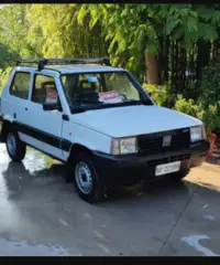 Fiat panda country club