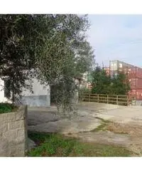 Livorno: Magazzino Altro 118mq Livorno: Magazzino Altro 118mq