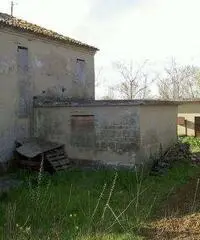 Mondolfo Vendita Rustico 0mq Mondolfo Vendita Rustico 0mq