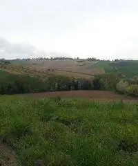 Rustico in Vendita a 75.000€ - Belvedere Ostrense Rustico in Vendita a 75.000€ - Belvedere Ostrense