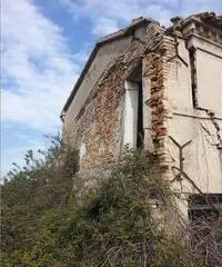 Rustico Altro - Corinaldo Rustico Altro - Corinaldo