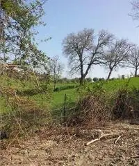 Rustico in Vendita a 165.000€ - Corinaldo Rustico in Vendita a 165.000€ - Corinaldo
