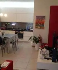 Ostra Vendita Appartamento 0mq Ostra Vendita Appartamento 0mq