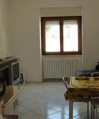Camere per studenti
