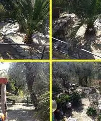 Bamp;B affitta camere vicino al mare e a Savona