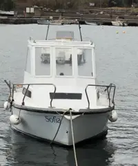 Pilotina a motore Pilotina a motore