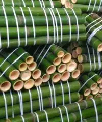 Vendo canne di bambù bambu con diametro da 1 cm. fino a 10 cm. Vendo canne di bambù bambu con diametro da 1 cm. fino a 10 cm.