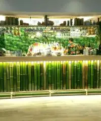 Vendo canne di bambù bambu con diametro da 1 cm. fino a 10 cm. Vendo canne di bambù bambu con diametro da 1 cm. fino a 10 cm.