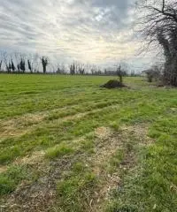 Rustico indipendente con stalla antica e giardino a Fontevivo