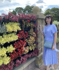 Cerco qualcuno da incontrare!