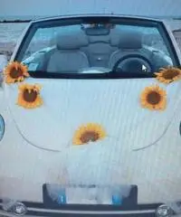 New beetle per matrimonio - Fermo