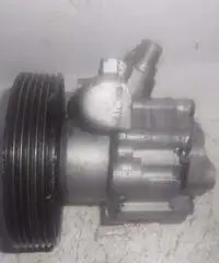 Pompa idroguida Peugeot 406 Pompa idroguida Peugeot 406