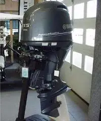 motori johnson
