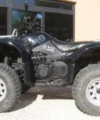 WT Motors WT500 Ram 2007