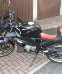 Aprilia Tuono 50cc. Aprilia Tuono 50cc.