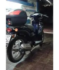 Scarabeo 50