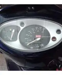 Scarabeo 50