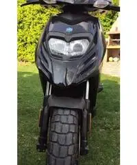 Typhoon Piaggio - 2013