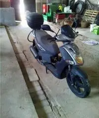 Scuter