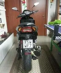 BENELLI 49X