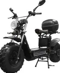 Bicicletta elettrica MOTOR BIKE Daymak mod. beast basic Bicicletta elettrica MOTOR BIKE Daymak mod. beast basic