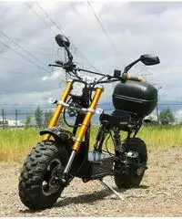 Bicicletta elettrica MOTOR BIKE Daymak mod. beast basic Bicicletta elettrica MOTOR BIKE Daymak mod. beast basic