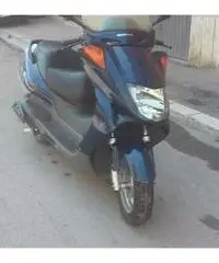 Honda pantem