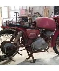Moto Guzzi Lodola