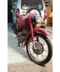 Moto Guzzi Lodola