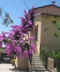 AFFITTASI ESTATE 2016 – CASA MARE A GROTTAMMARE AFFITTASI ESTATE 2016 – CASA MARE A GROTTAMMARE