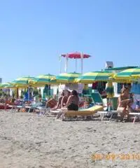 Torre canne con wifi