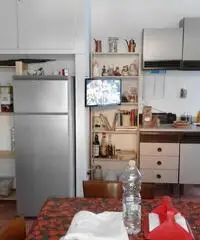 San Vincenzo bilocale tranquillo