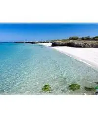 Vacanza in Salento dal 13 al 21 agosto per single over 45