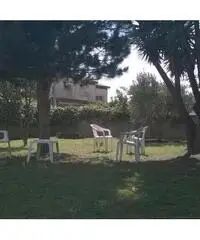 VACANZE AL MARE VACANZE AL MARE