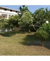 VACANZE AL MARE