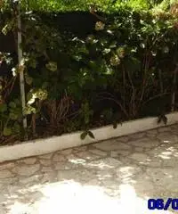 Offro affitto a Sperlonga grazioso villino con posti auto