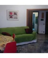 Grazioso monolocale Grazioso monolocale