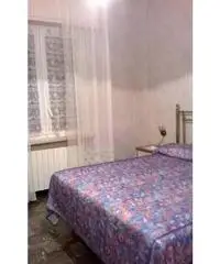 BORGHETTO S.S. BORGHETTO S.S.