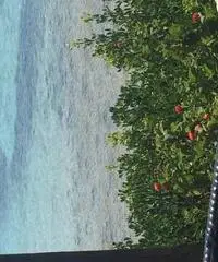 Vacanze in Sardegna