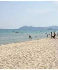 Monolocale a 50 metri spiaggia Monolocale a 50 metri spiaggia