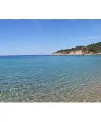 ISOLA D'ELBA OFFERTISSIME LAST MINUTE GRAZIOSO BILOCALE ISOLA D'ELBA OFFERTISSIME LAST MINUTE GRAZIOSO BILOCALE