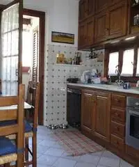 FORTE DEI MARMI- VILLETTA in AFFITTO FORTE DEI MARMI- VILLETTA in AFFITTO