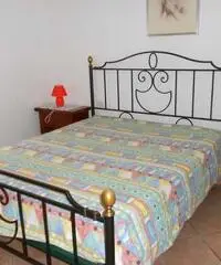 Trilocale Campo nell'Elba Trilocale Campo nell'Elba