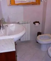 Trilocale Campo nell'Elba Trilocale Campo nell'Elba