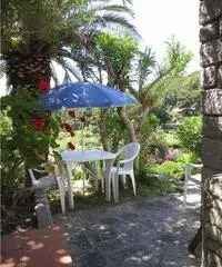 Bilocali 2/4 posti letto Fetovaia isola d'Elba Bilocali 2/4 posti letto Fetovaia isola d'Elba