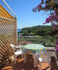 Bilocali 2/4 posti letto Fetovaia isola d'Elba Bilocali 2/4 posti letto Fetovaia isola d'Elba