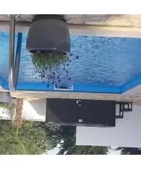 Affitto casa vacanze