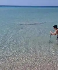 Last minute a luglio a san pietro in bevagna salento puglia