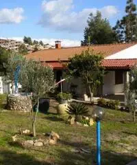 Villetta indipendente