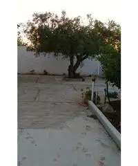 VACANZE IN SICILIA A TORRE POZZILLO (PA)